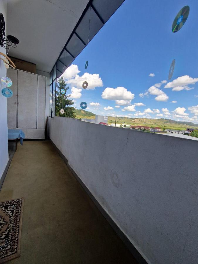 Sabina Apartment Sighişoara Esterno foto